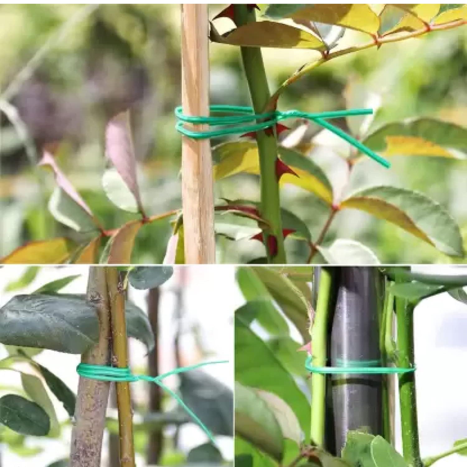 Garden Wire, Sturdy Plant Ties for Support, Garden Ties with Cutter for Tomatoes Vines, Plant Wire Tie Wire for Indoor, Outdoor, Home and Office Use (50 Mtr) Garden Wire, Sturdy Plant Ties for Support, Garden Ties with Cutter for Tomatoes Vines, Plant Wire Tie Wire for Indoor, Outdoor, Home and Office Use (50 Mtr)